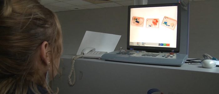Inspección y registro de equipajes facturados