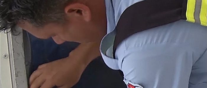 Servicio de sellaje