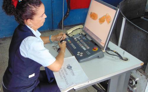 Inspección y registro de equipajes facturados